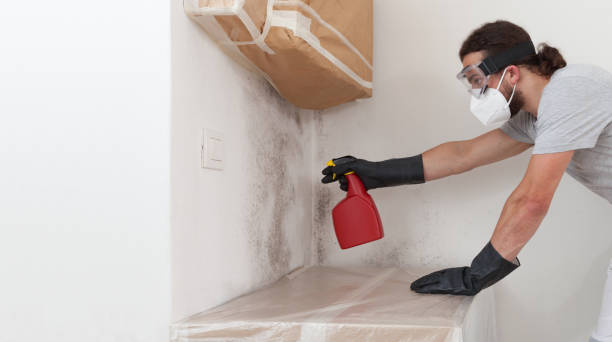 Professional Mold Cleanup technician working in Colts Neck, NJ